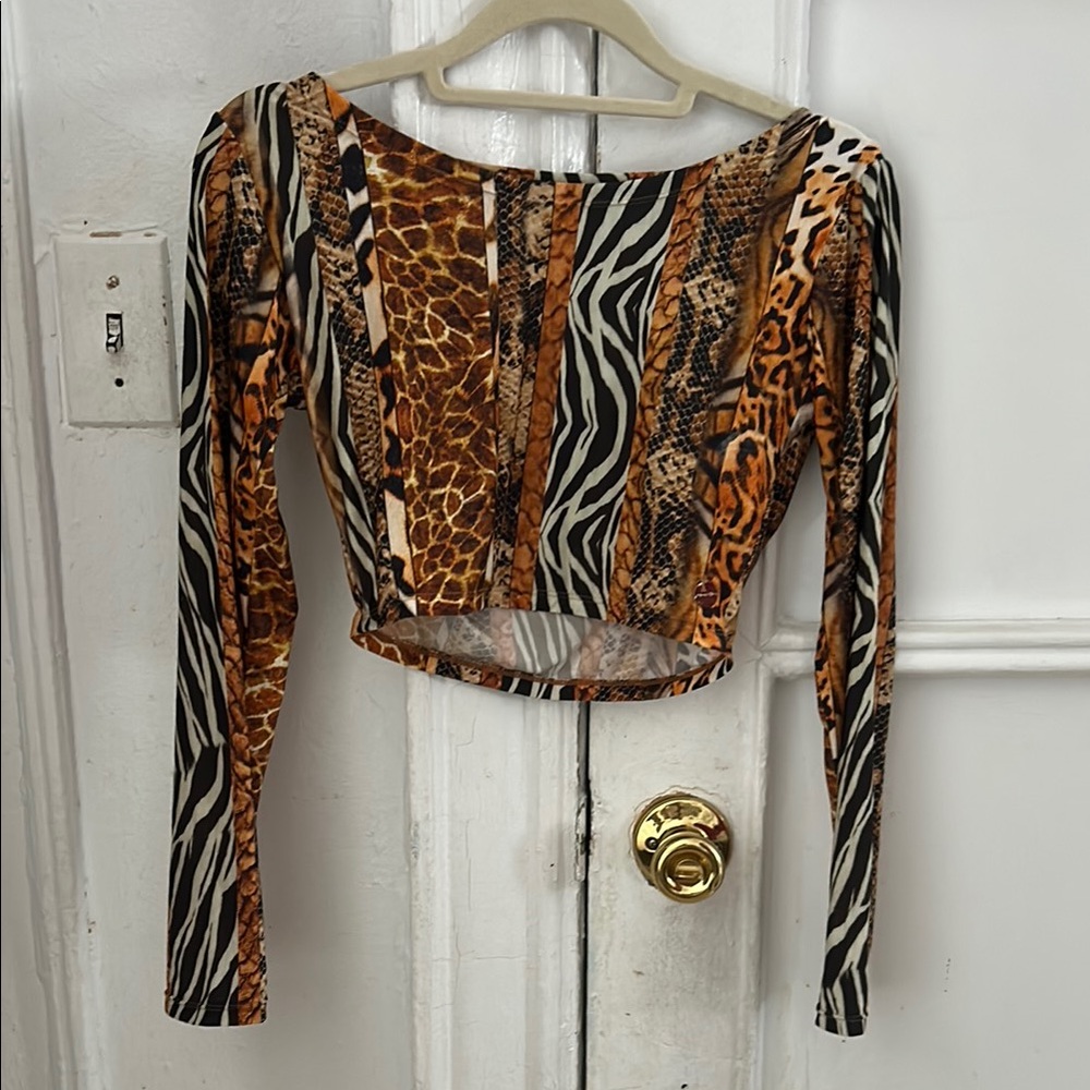 Brown and Black Fitted Crop Blouse,